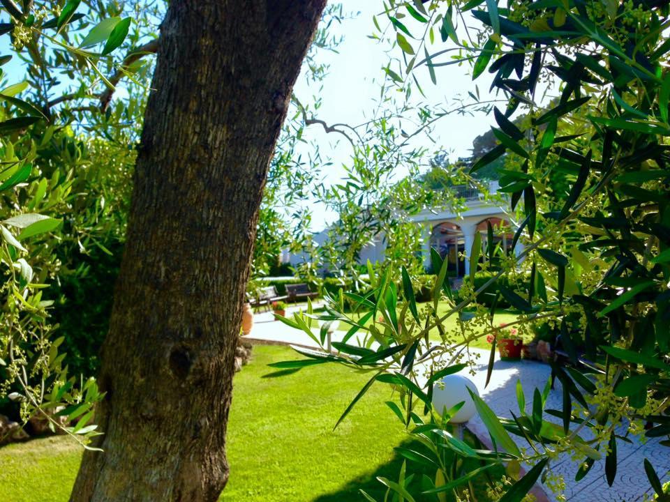 Hotel D'Altavilla Canosa di Puglia Exterior photo